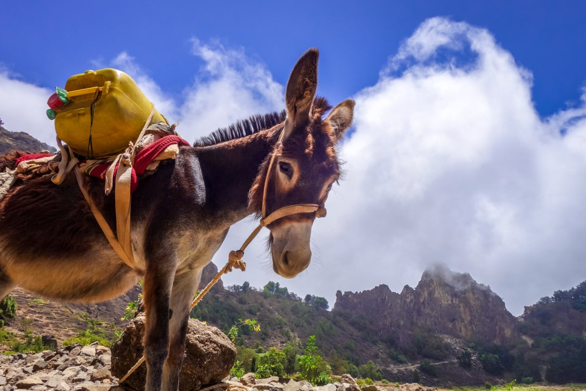 ISI Tourism Cabo Verde