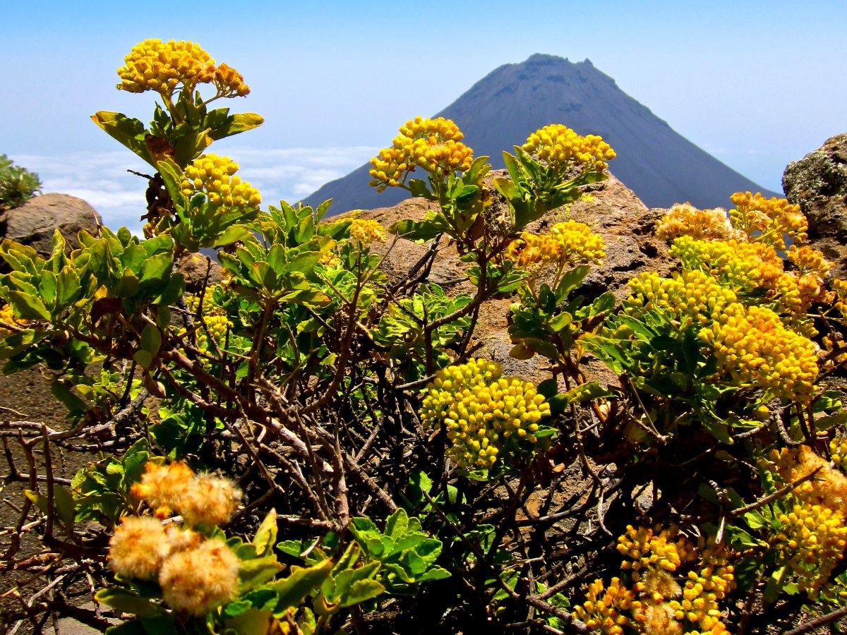 ISI Tourism Cabo Verde