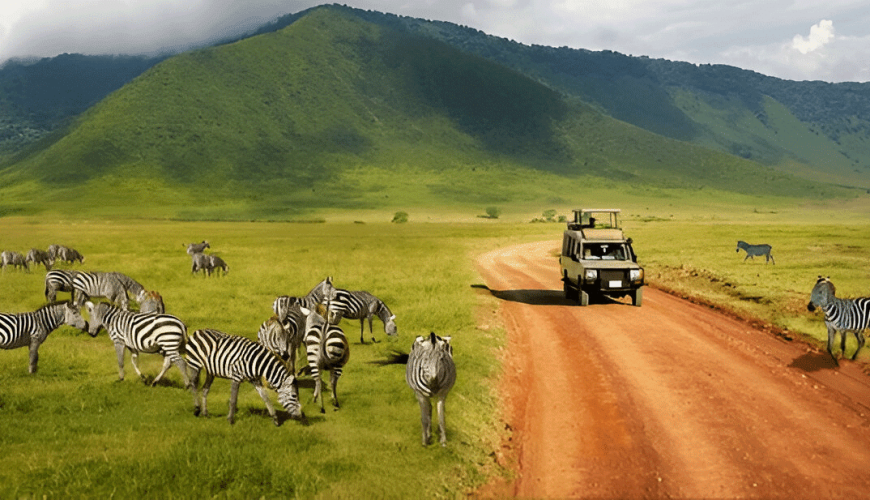 Safaris