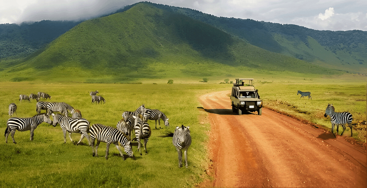 Safaris